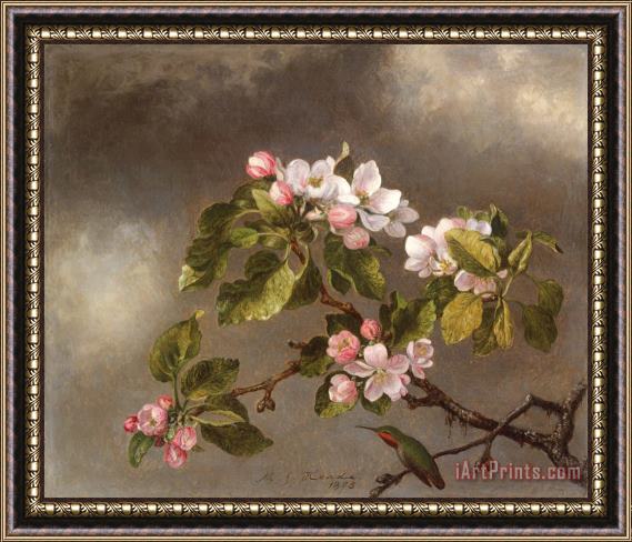 Martin Johnson Heade Hummingbird And Apple Blossoms Framed Painting