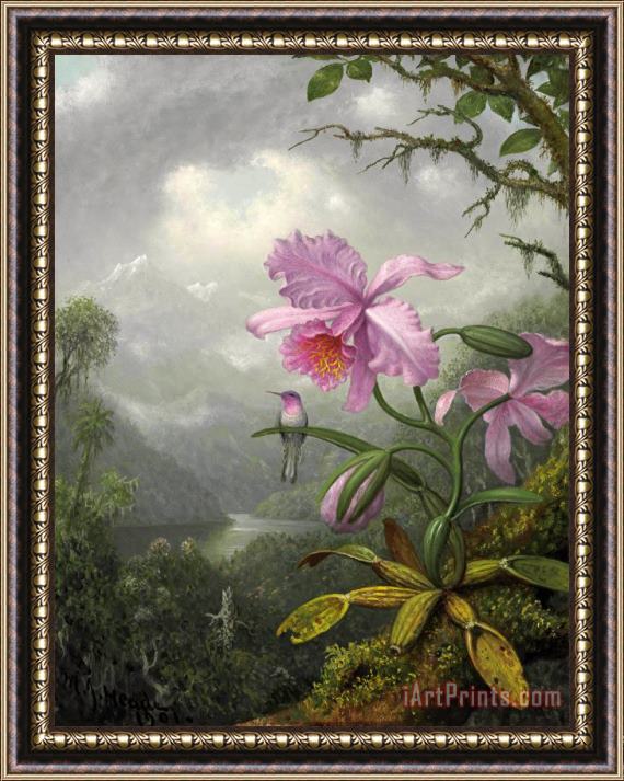 Martin Johnson Heade Hummingbird Perched on The Orchid Plant Framed Painting