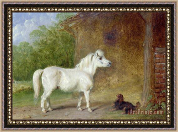 Martin Theodore Ward A Shetland pony and a King Charles spaniel Framed Painting