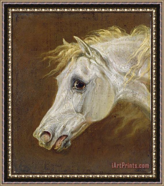 Martin Theodore Ward Head of a Grey Arabian Horse Framed Painting