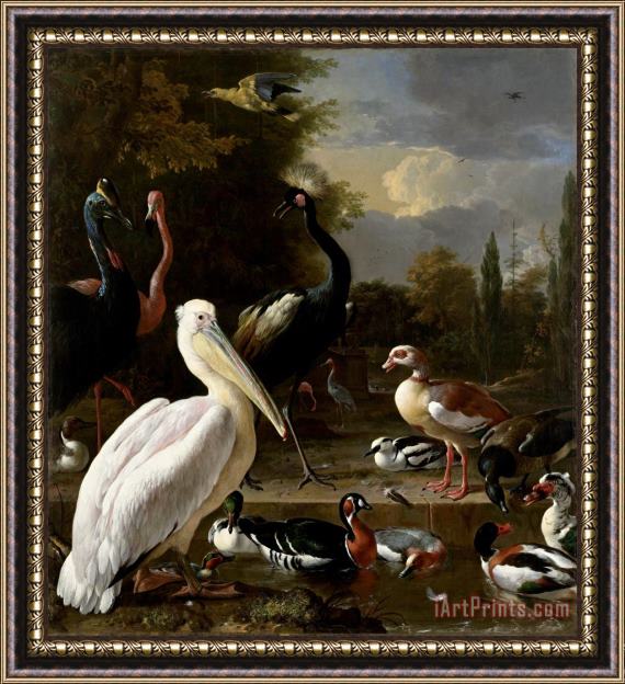 Melchior de Hondecoeter A Pelican And Other Birds Near a Pool, Known As 'the Floating Feather' Framed Print