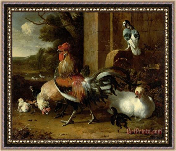 Melchior de Hondecoeter Poultry Yard Framed Print