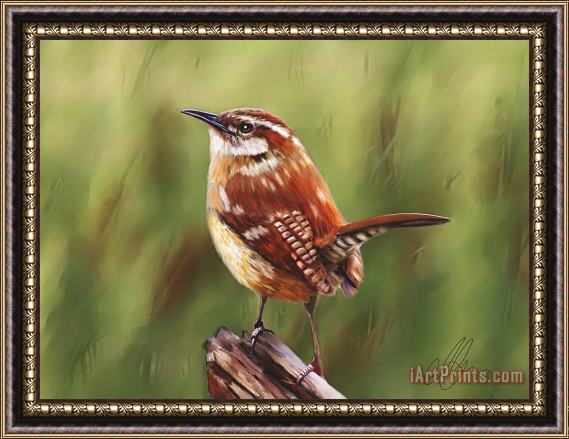 Michael Greenaway Brown bird hanging in the reeds Framed Painting