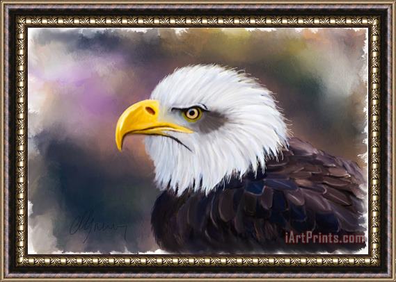 Michael Greenaway Eagle Portrait Framed Print