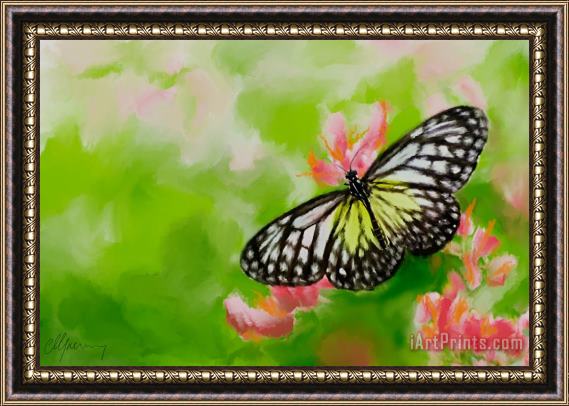 Michael Greenaway Life is Like a Butterfly Framed Painting