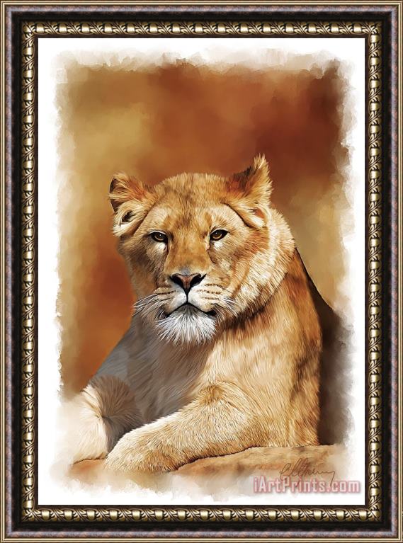 Michael Greenaway Lioness Portrait Framed Print