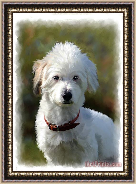 Michael Greenaway Terrier Dog Portrait Framed Print