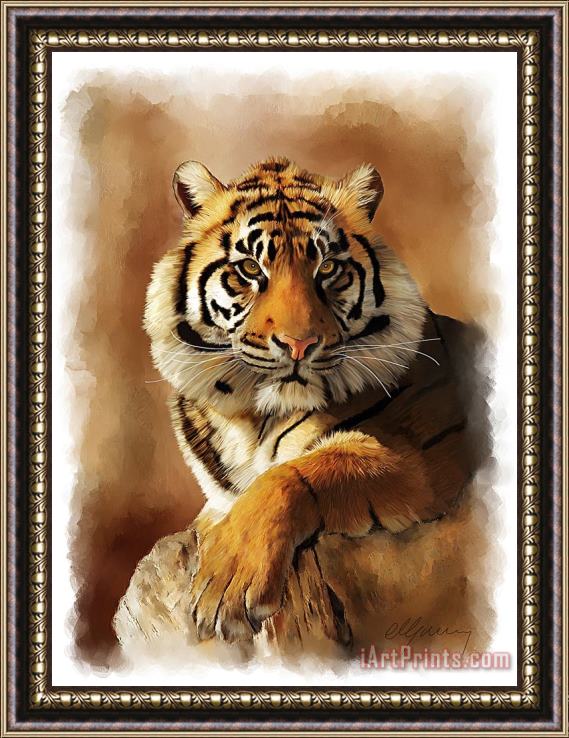 Michael Greenaway Tiger Portrait Framed Painting