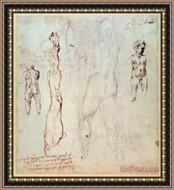 Michelangelo Buonarroti Anatomical Drawings with Accompanying Notes Framed Painting