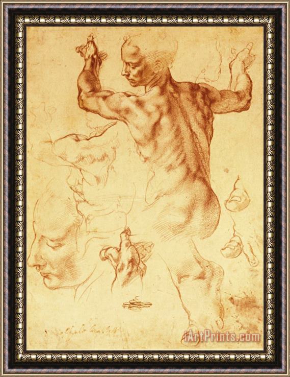 Michelangelo Buonarroti Anatomy Sketches Libyan Sibyl Framed Painting