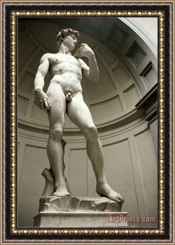 Michelangelo Buonarroti David Bottom View Framed Print