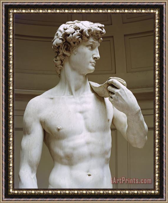 Michelangelo Buonarroti David Detail Framed Painting