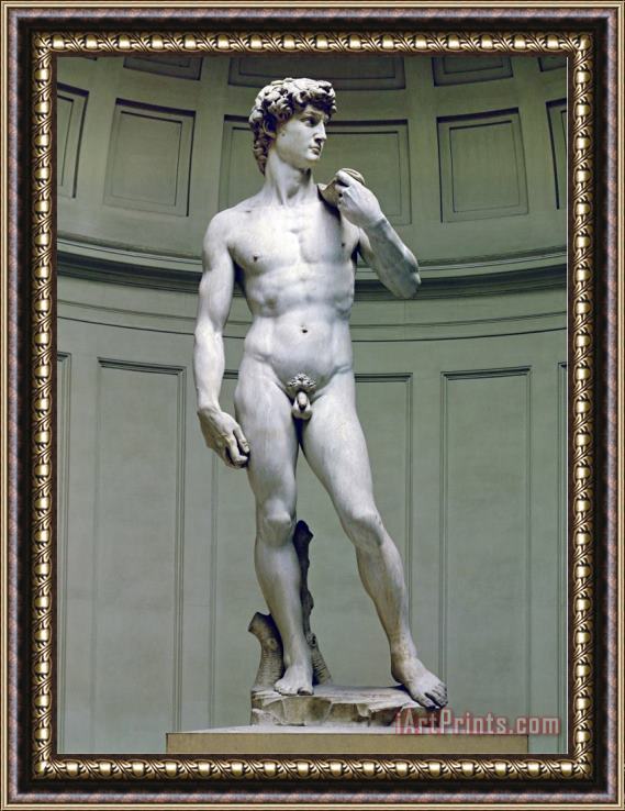 Michelangelo Buonarroti David Frontal View Framed Print