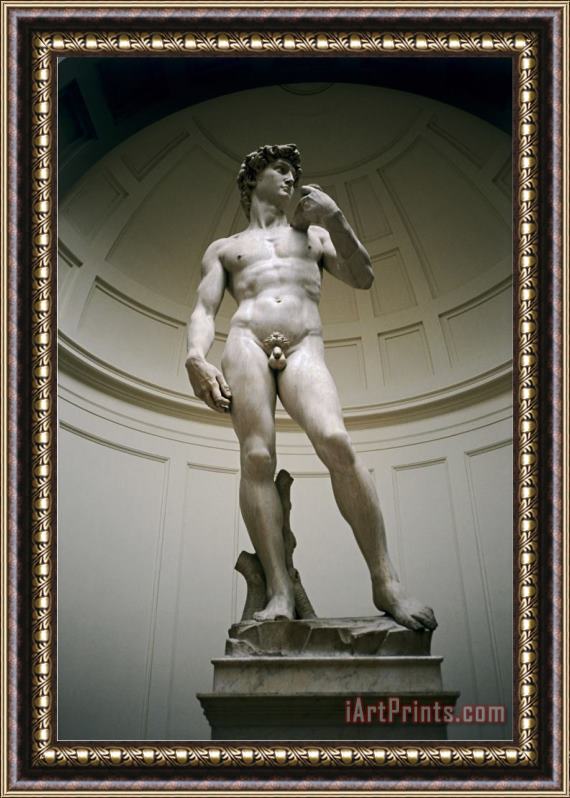 Michelangelo Buonarroti David Framed Painting