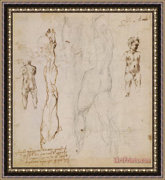 Michelangelo Buonarroti Michelangelo Eight Studies of Nude Children Framed Print