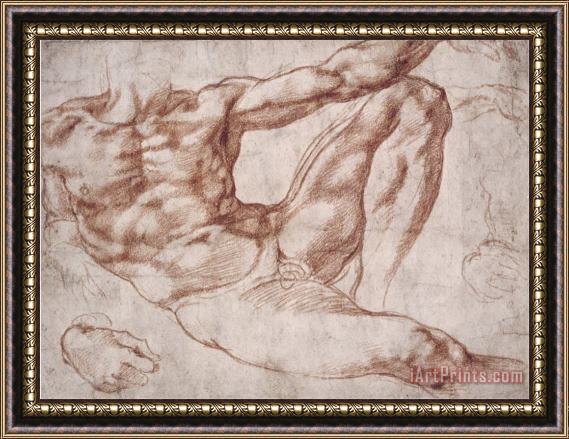 Michelangelo Buonarroti Michelangelo Study for Adam Framed Print