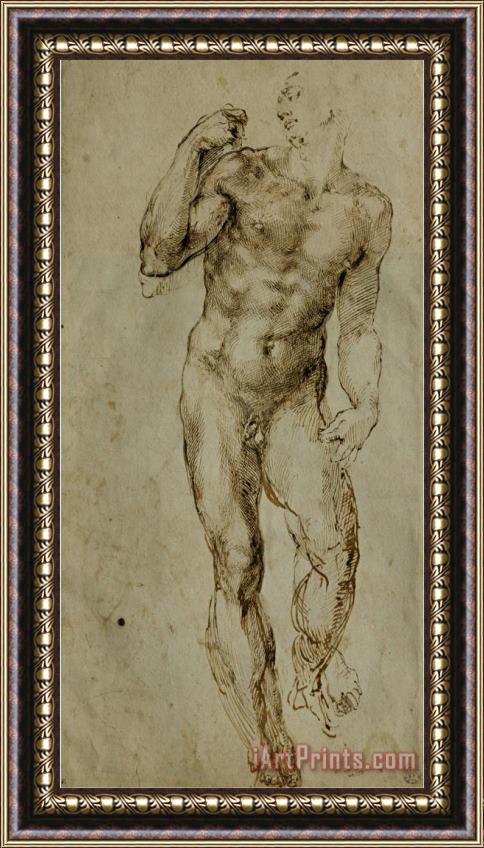 Michelangelo Buonarroti Nude Male Figure Seen Frontally Circa 1502 1506 Framed Painting