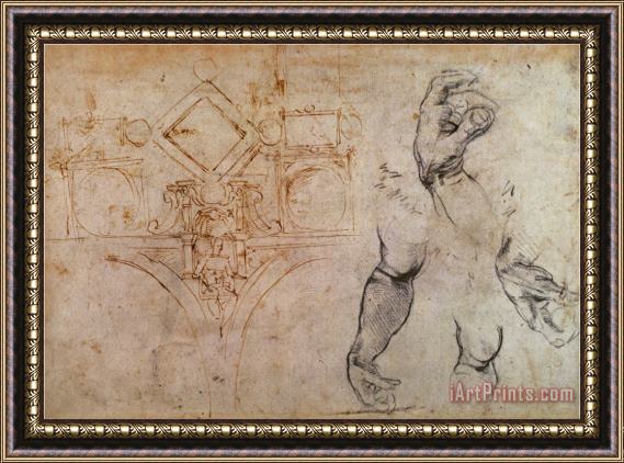 Michelangelo Buonarroti Scheme for The Sistine Chapel Ceiling C 1508 Framed Painting