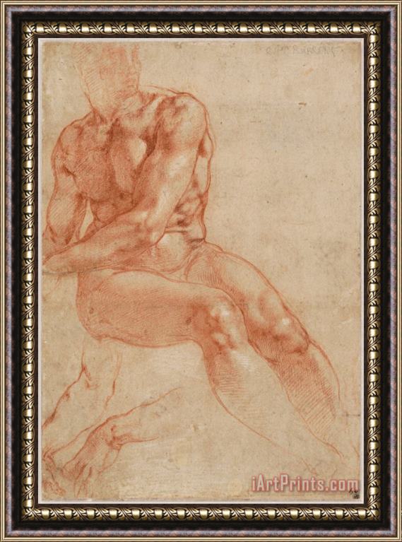 Michelangelo Buonarroti Seated Young Male Nude And Two Arm Studies (recto) Framed Print