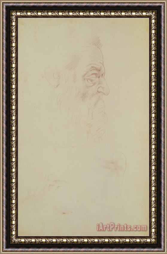 Michelangelo Buonarroti Sketch of a Male Head And Two Legs Framed Print