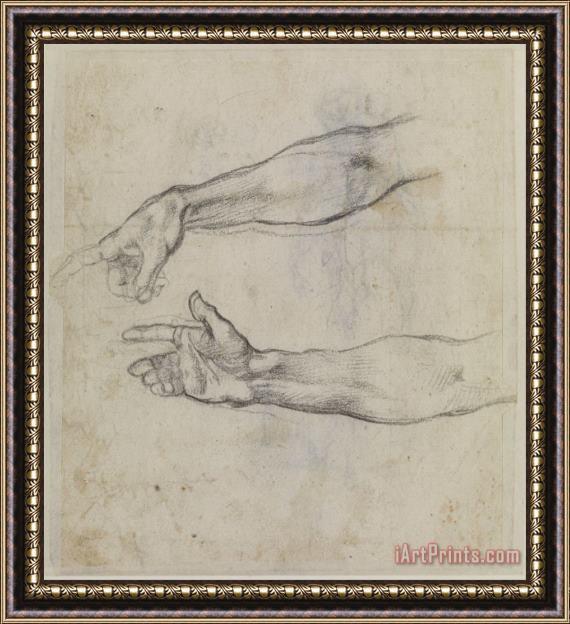 Michelangelo Buonarroti Studies of an Outstretched Arm for The Fresco 'the Drunkenness of Noah' in The Sistine Chapel. Framed Print