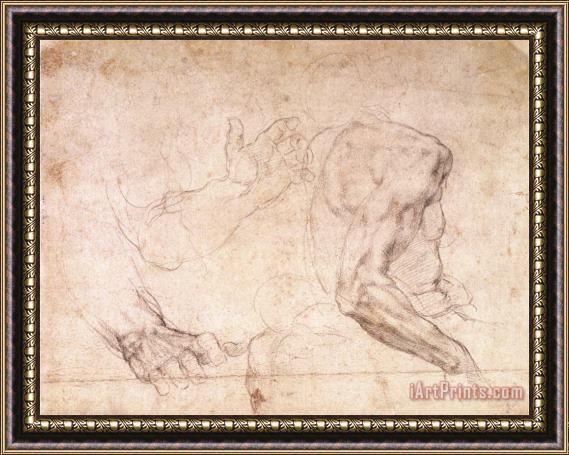 Michelangelo Buonarroti Studies of Hands And an Arm Framed Painting