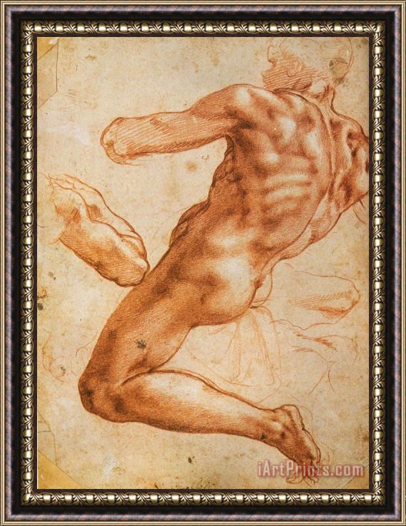 Michelangelo Buonarroti Study for an Ignudo Framed Print