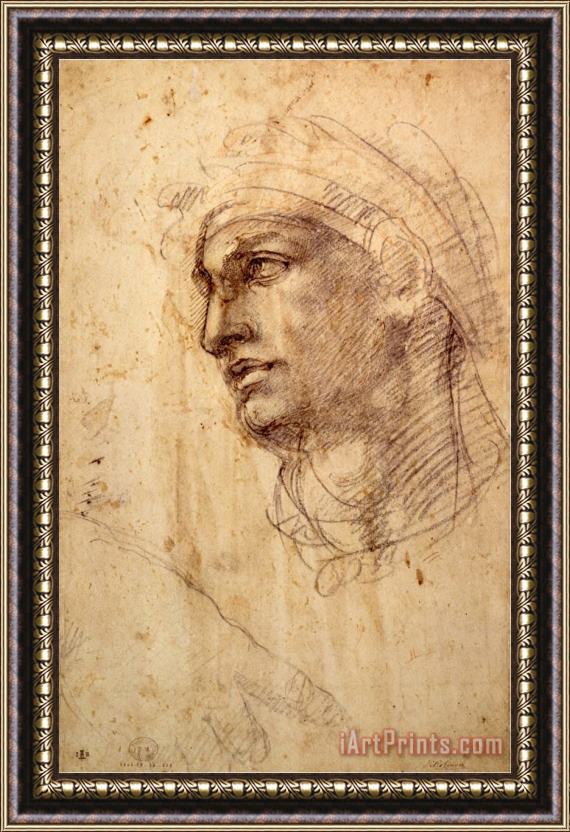 Michelangelo Buonarroti Study of a Head Charcoal Inv 1895 9 15 498 W 1 Framed Painting