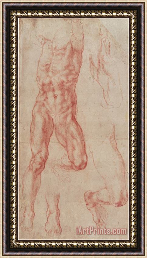 Michelangelo Buonarroti Study of a Male Nude Stretching Upwards Framed Print