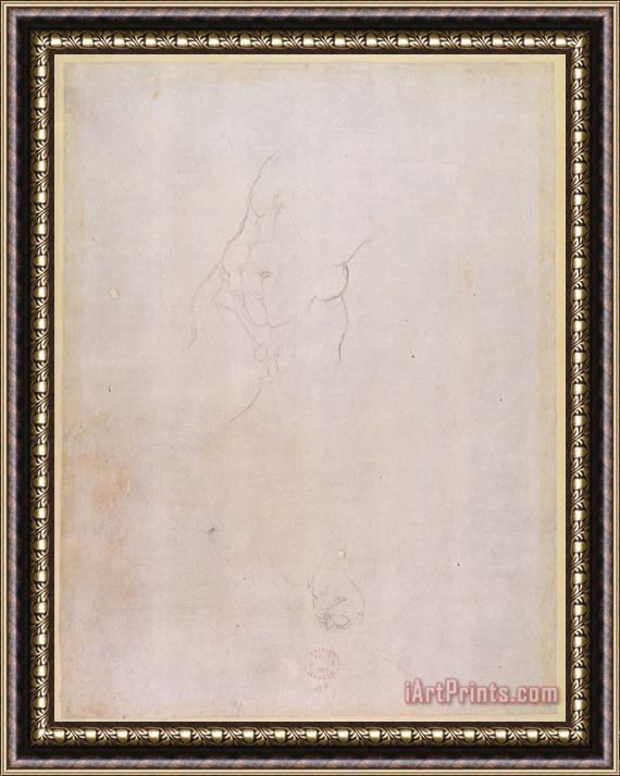 Michelangelo Buonarroti Study of a Male Torso Pencil on Paper Verso for Recto See 192512 Framed Print