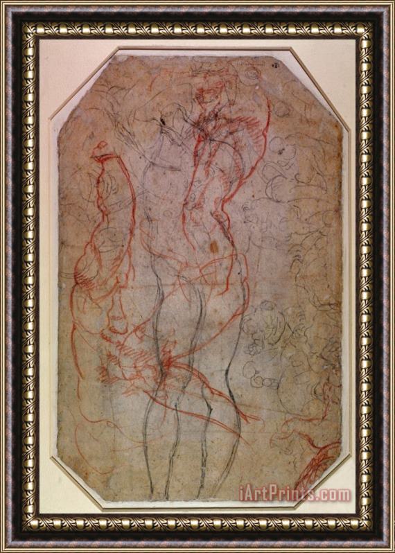 Michelangelo Buonarroti Study of Figures And The Creation of Adam Framed Print