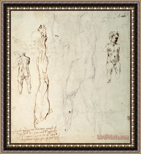 Michelangelo Buonarroti Study of The Christ Child And an Anatomical Drawing with Notes Framed Painting