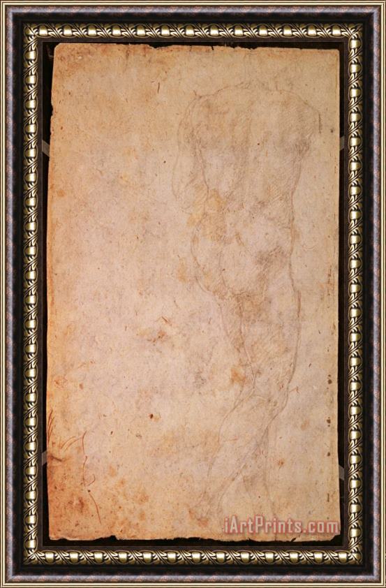 Michelangelo Buonarroti W 48 Sketch of a Standing Male Nude Rear View Framed Print