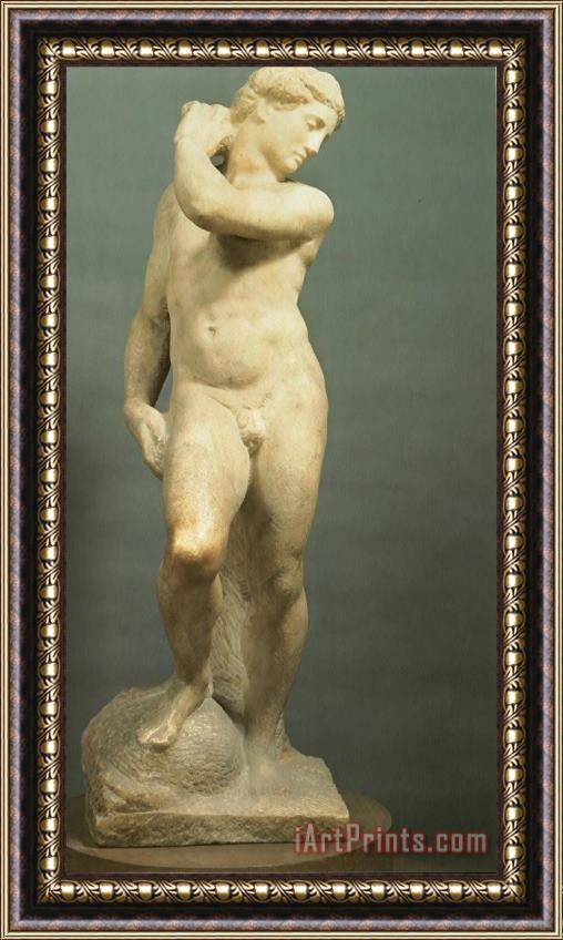 Michelangelo Davidapollo Framed Painting