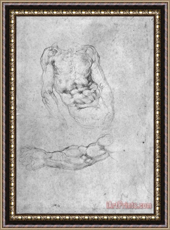 Michelangelo Studies for Pieta Or The Last Judgement Framed Print