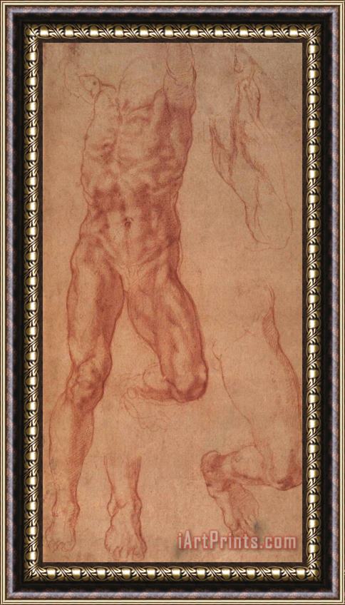 Michelangelo Study for Haman Framed Painting