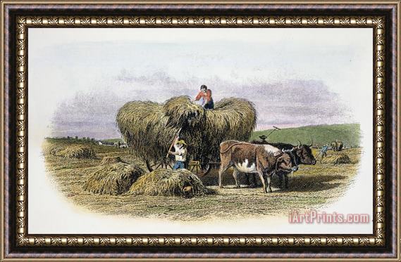 Others 19th CENTURY AMERICAN FARM Framed Painting