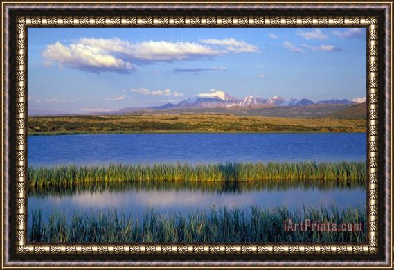 Others Altay Lakes Dzhulukul Framed Print