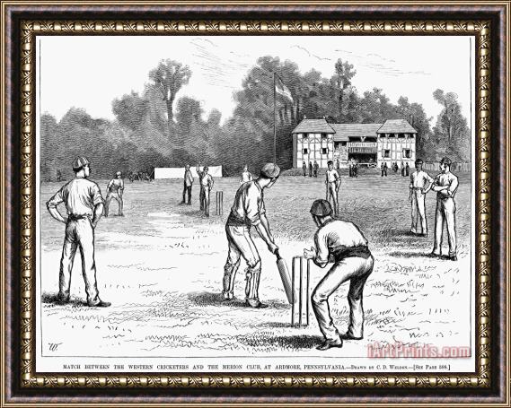 Others American Cricket, 1882 Framed Print