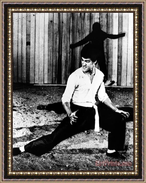 Others Bruce Lee (1940-1973) Framed Painting