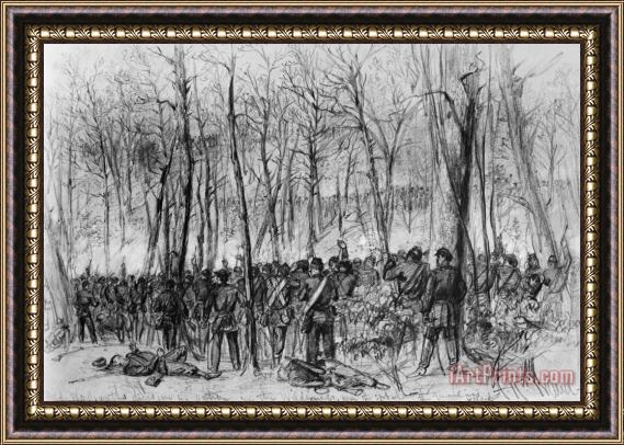 Others Civil War: Wilderness Framed Painting