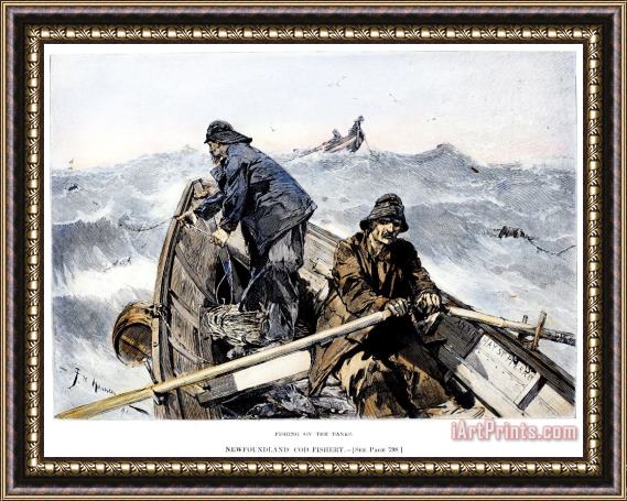 Others Cod Fishing, 1891 Framed Print