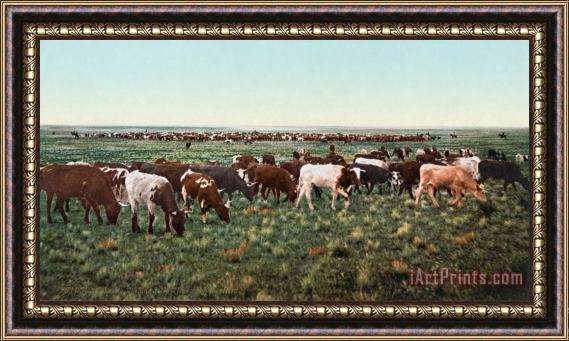 Others Colorado: Round Up Framed Painting