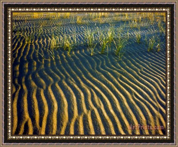 Others Colorado: Sand Dunes Framed Painting