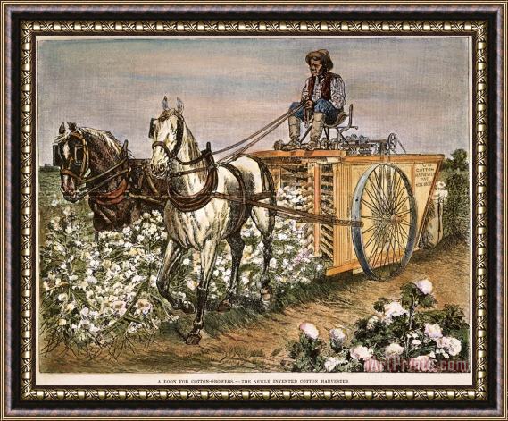 Others Cotton Harvester, 1886 Framed Painting