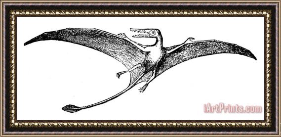 Others Dinosaur: Pterodactyl Framed Painting
