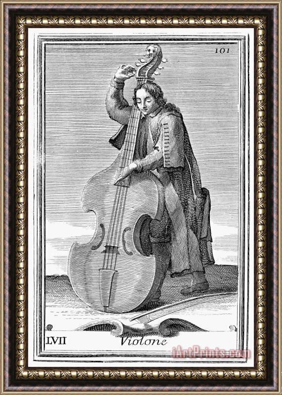Others Double-bass Viol, 1723 Framed Print