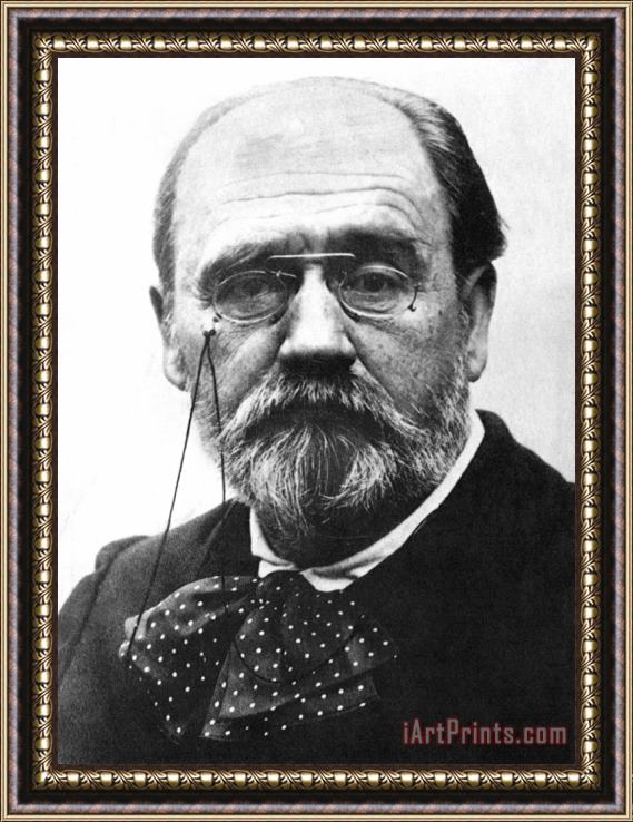 Others Emile Zola (1840-1902) Framed Painting