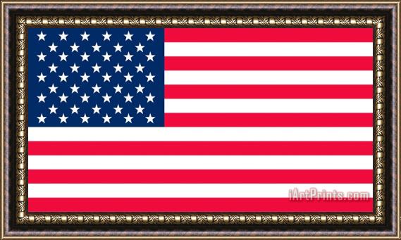 Others Flag Of The United States Of America Framed Painting