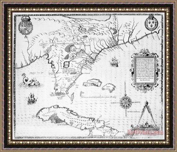 Others Florida: Map, 1591 Framed Painting